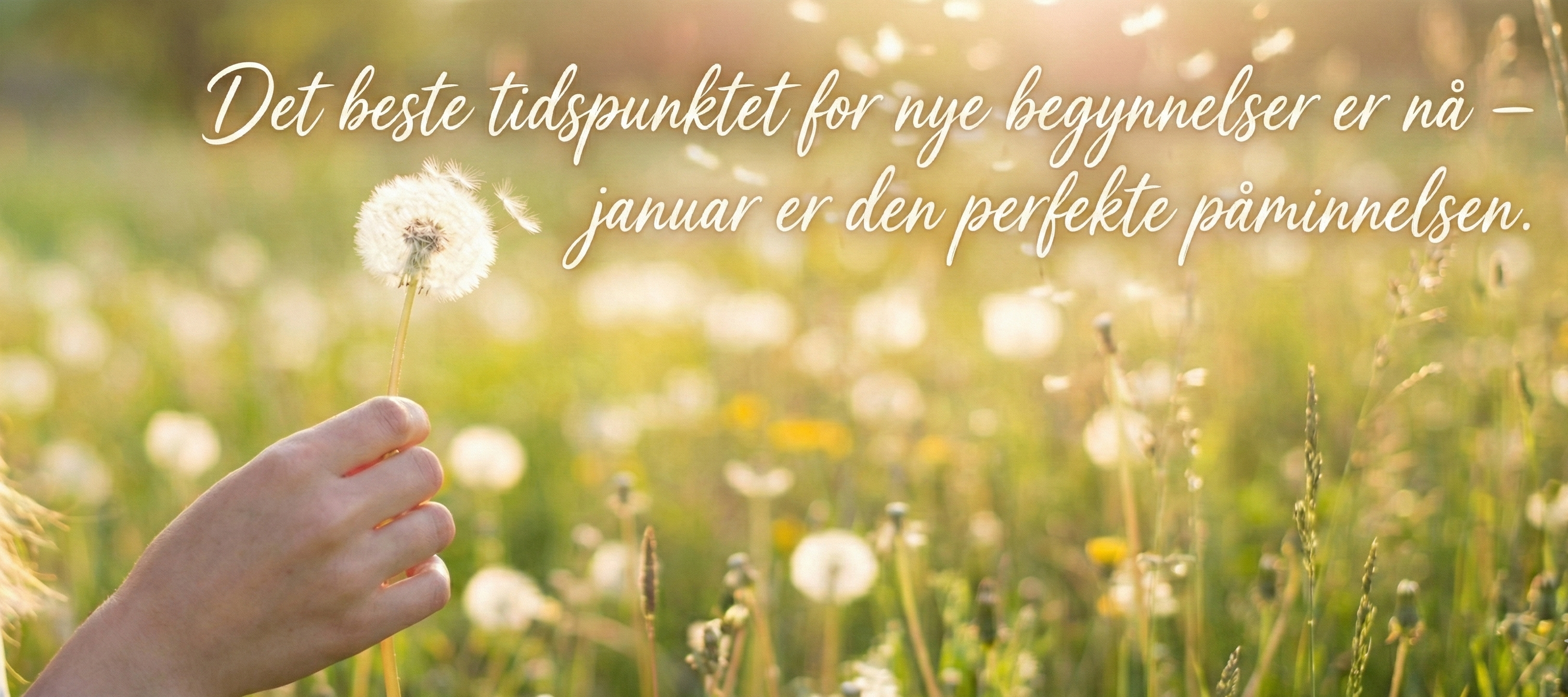60+ januarsitater for å inspirere en ny start