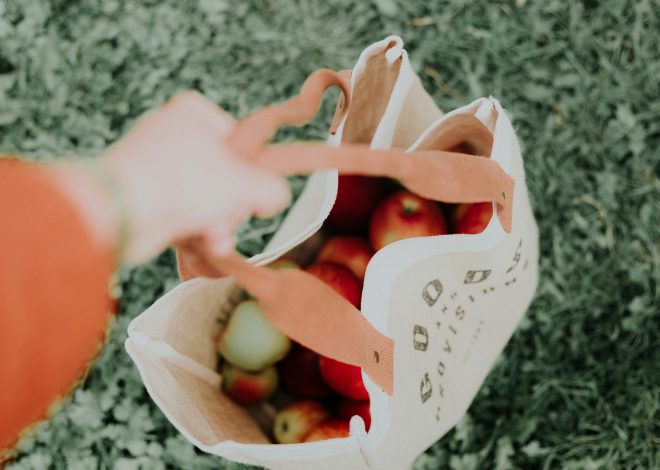 8 tips for å bli mer miljøvennlig