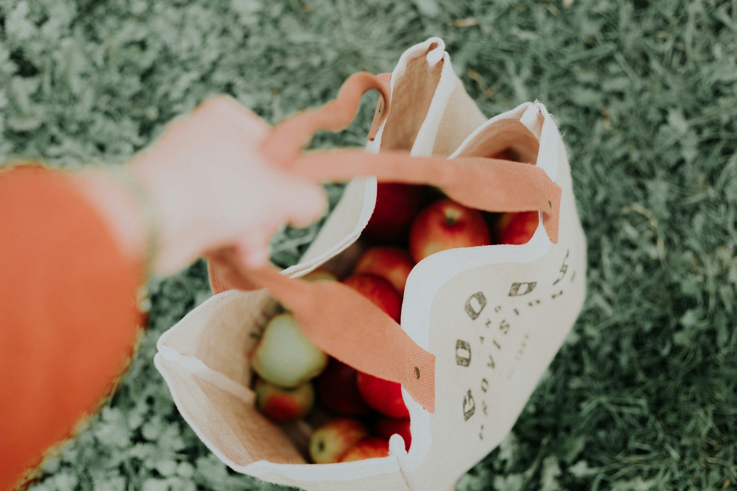8 tips for å bli mer miljøvennlig
